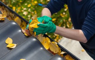 Removing leaves from the gutter